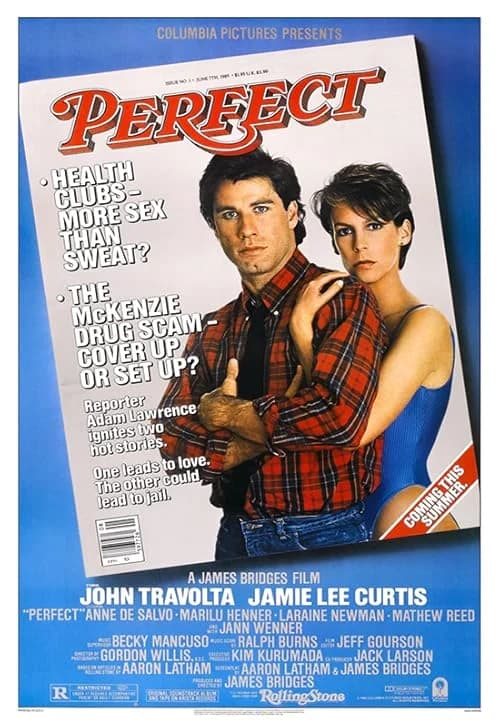 Perfect film posteri